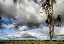 足协相关人士详解球员自荐系统，搭建足球人才上升通道，助力有志青年实现梦想