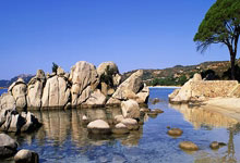 曼联想将奥斯梅恩纳入转会名单，霍伊伦成心仪目标，新赛季阵容重塑在即